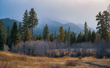 Layers of grass, pine, mountains, and fog in the late afternoon sun behind Triple Creek Ranch, Darby, MT.