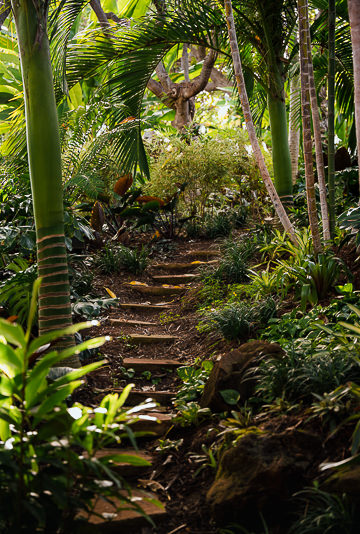 Secret path through botanical gardens.